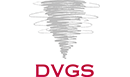 dvgs.de