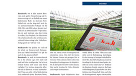 Stadionwelt