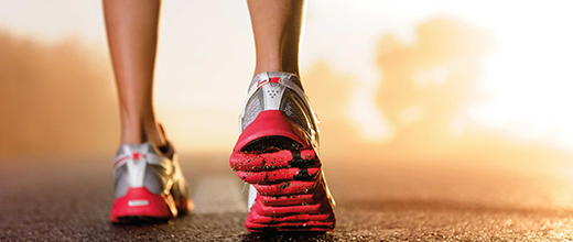 Kurskonzept „Nordic Walking“
