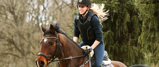 Konditionstraining für Pferde