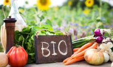 Neuer Blogbeitrag: Wie sicher sind Bio-Lebensmittel?
