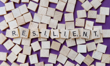 IST-Webinar: „Resilienz in der Veranstaltungsbranche“