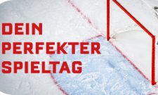DEL-Livestream für alle Eishockey-Fans