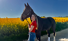 Erfolgreich im Einsatz für Mensch und Pferd