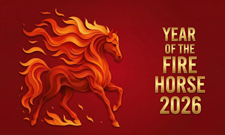 Jahr des Feuerpferdes – perfekte Energie für Deinen Bildungsimpuls!